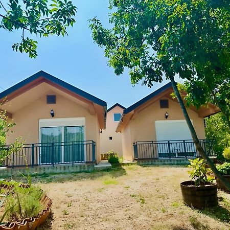 S&M Apartments Рієка Црноєвіча Екстер'єр фото